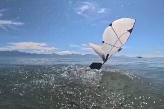 Crean un robot que puede volar y nadar como un ave buceadora: el método para explorar ecosistemas oceánicos