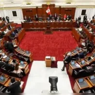 Congreso de Perú promulga ley que excluye a policías y militares de la justicia común