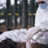 El proceso forense detrás de la identificación de cuerpos no identificados