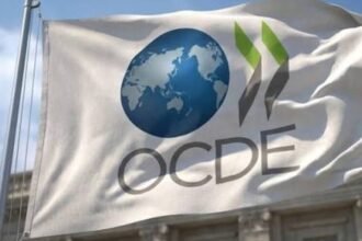 Un 6 % de las tecnológicas en la OCDE creadas sólo por mujeres, frente al 80 % por hombres