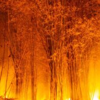 12 muertos y 8 heridos en un incendio en el sur de España, el más grave hasta la fecha