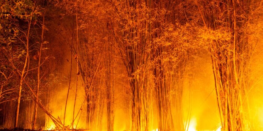 12 muertos y 8 heridos en un incendio en el sur de España, el más grave hasta la fecha