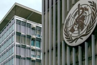 OMS: La sanidad debe incorporar a su planificación anual la preparación para calor extremo