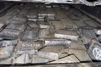 DNCD ocupa 237 paquetes de presunta cocaína y arresta a tres hombres en operativo en Santo Domingo