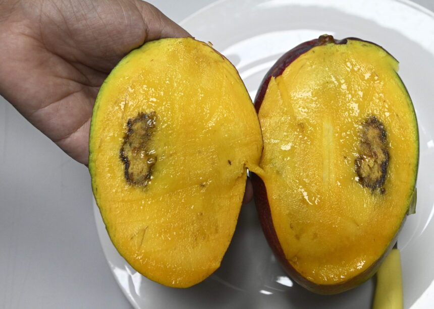 Mango.