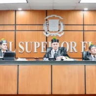TSE rechaza pedido para detener entrega de fondos públicos a partidos políticos