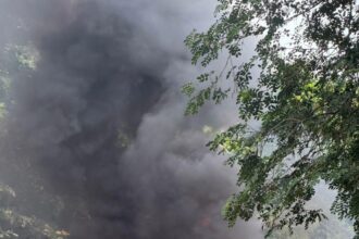 El Inacif destruye cerca de una tonelada de drogas