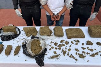 PN ocupa paquetes de presunta marihuana y arresta a un hombre en Capotillo