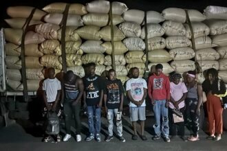 Ejército descubre a 10 haitianos indocumentados ocultos en una carga de arroz en Montecristi