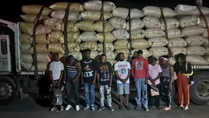 Ejército descubre a 10 haitianos indocumentados ocultos en una carga de arroz en Montecristi