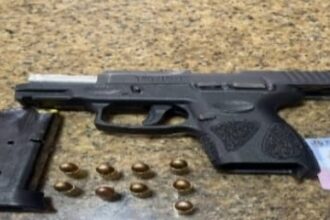 PN intensifica acciones contra el crimen con capturas por homicidio, robo, estafa electrónica y porte ilegal de arma