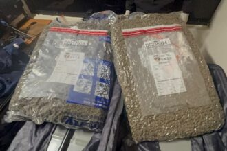 DNCD interviene maleta con 28 libras de marihuana en el AILA