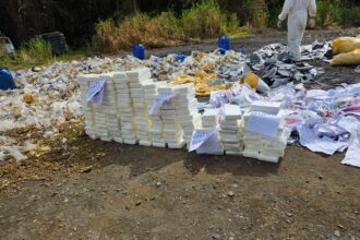 El Inacif destruye más de una tonelada de drogas