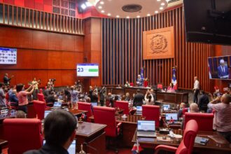 Senado aprueba en segunda lectura reforma a la Ley de la Policía Nacional