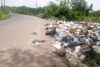 La Cuaba sigue entre basura por vertederos improvisados