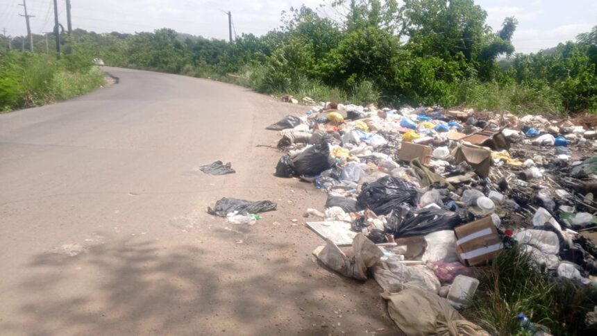 La Cuaba sigue entre basura por vertederos improvisados