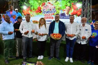 Diputada Grey Pérez impulsa proyecto que declara a Azua como la Capital del Tomate