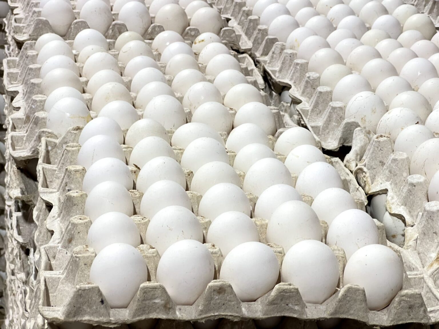 Huevos.