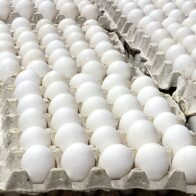 Huevos.