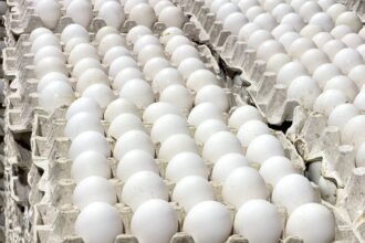 Huevos.