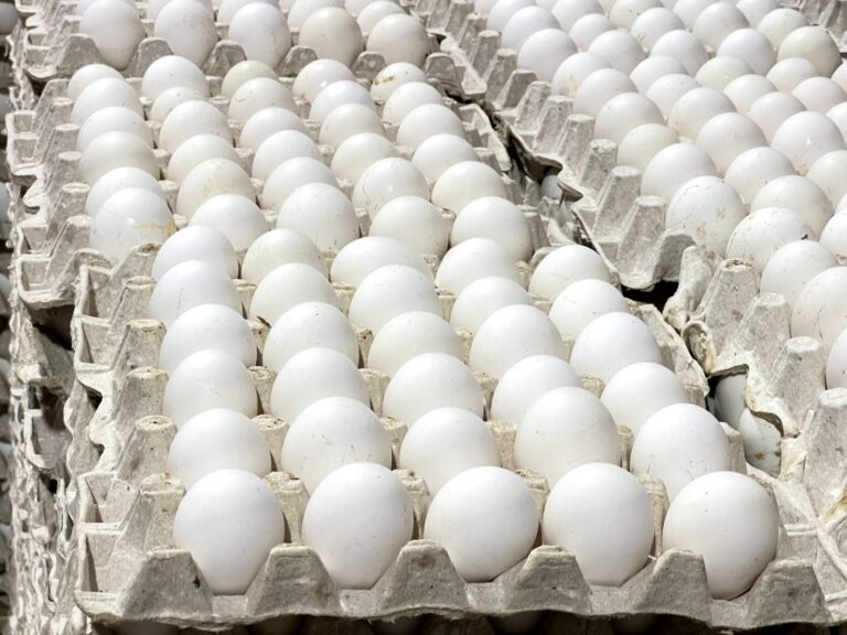 Huevos.