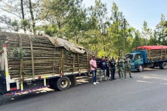 Ejército incautan cargamento de madera sin documentación legal en Santiago