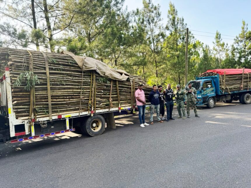 Ejército incautan cargamento de madera sin documentación legal en Santiago