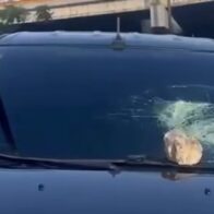 Reportan ataque con piedras en la avenida Las Américas