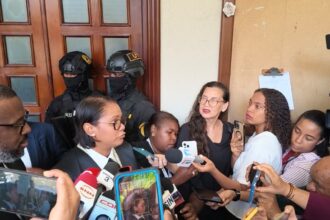 Titular de la Pepca desmiente acuerdo entre Santiago Hazim y el Ministerio Público en caso SeNaSa