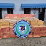Incautan más de 1.5 millones de cigarrillos de contrabando ocultos entre hojas de batata en Baní