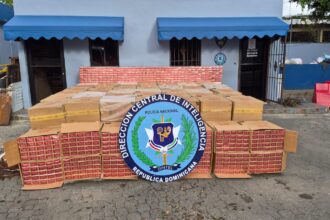 Incautan más de 1.5 millones de cigarrillos de contrabando ocultos entre hojas de batata en Baní