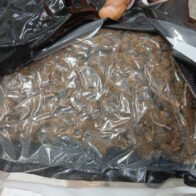 DNCD incauta ocho paquetes y cinco latas con marihuana durante operativos en el AILA