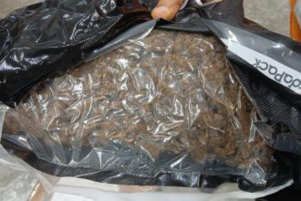 DNCD incauta ocho paquetes y cinco latas con marihuana durante operativos en el AILA