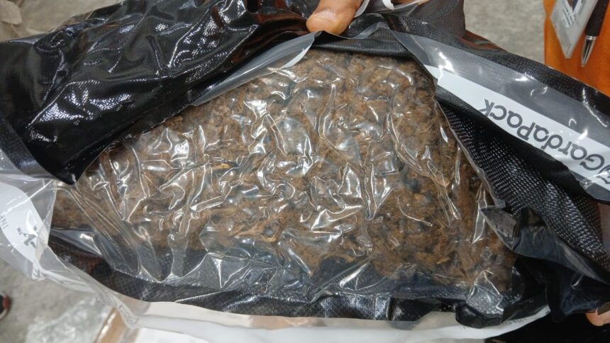DNCD incauta ocho paquetes y cinco latas con marihuana durante operativos en el AILA