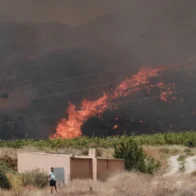 Un incendio forestal devasta una comunidad de expatriados en el sur de España, dejando al menos 12 muertos y 23 desaparecidos