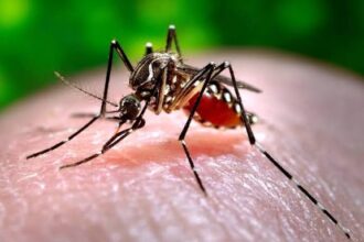 Salud Pública registra nuevos casos de dengue y eleva a 171 los contagios en 2026