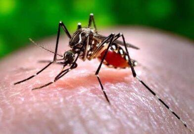 Salud Pública registra nuevos casos de dengue y eleva a 171 los contagios en 2026