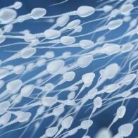 Estudio vincula la contaminación ambiental con diferencias en la calidad del semen masculino