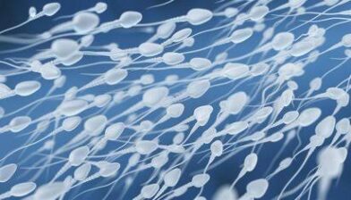 Estudio vincula la contaminación ambiental con diferencias en la calidad del semen masculino