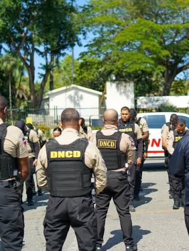 DNCD detiene a 20 personas y ocupa más de 9 mil gramos de drogas en operativos contra el microtráfico