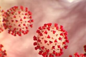 COVID-19 sigue siendo el virus respiratorio de mayor circulación en República Dominicana