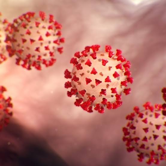 COVID-19 sigue siendo el virus respiratorio de mayor circulación en República Dominicana