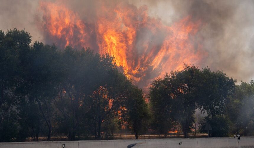 Incendios forestales obligan a evacuar a 73,000 personas en Madrid y Ávila