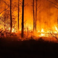 Evacúan siete municipios cerca de Burdeos por el avance de un gran incendio forestal