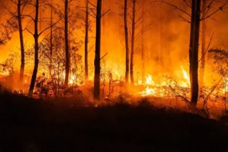 Evacúan siete municipios cerca de Burdeos por el avance de un gran incendio forestal