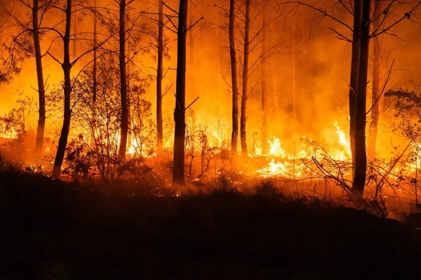 Evacúan siete municipios cerca de Burdeos por el avance de un gran incendio forestal