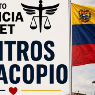 Movimiento Justicia Jet Set entrega donaciones a Venezuela este 5 de julio tras campaña solidaria