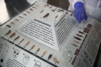 Hallan en Perú 43 figuras milenarias de dioses, animales y humanos de la civilización Caral