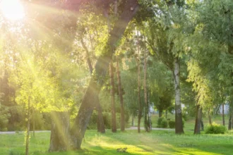 Calor intenso predominará este sábado; prevén chubascos aislados durante la tarde