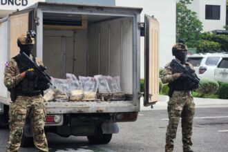 DNCD ocupa 321 paquetes de presunta cocaína ocultos en contenedor en Puerto Caucedo